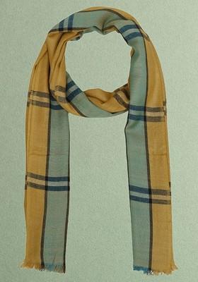 Women Zari Woven Design Stole