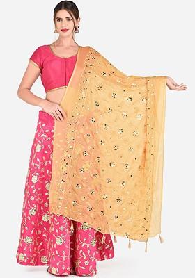 Beige Embroidered Chiffon Dupatta