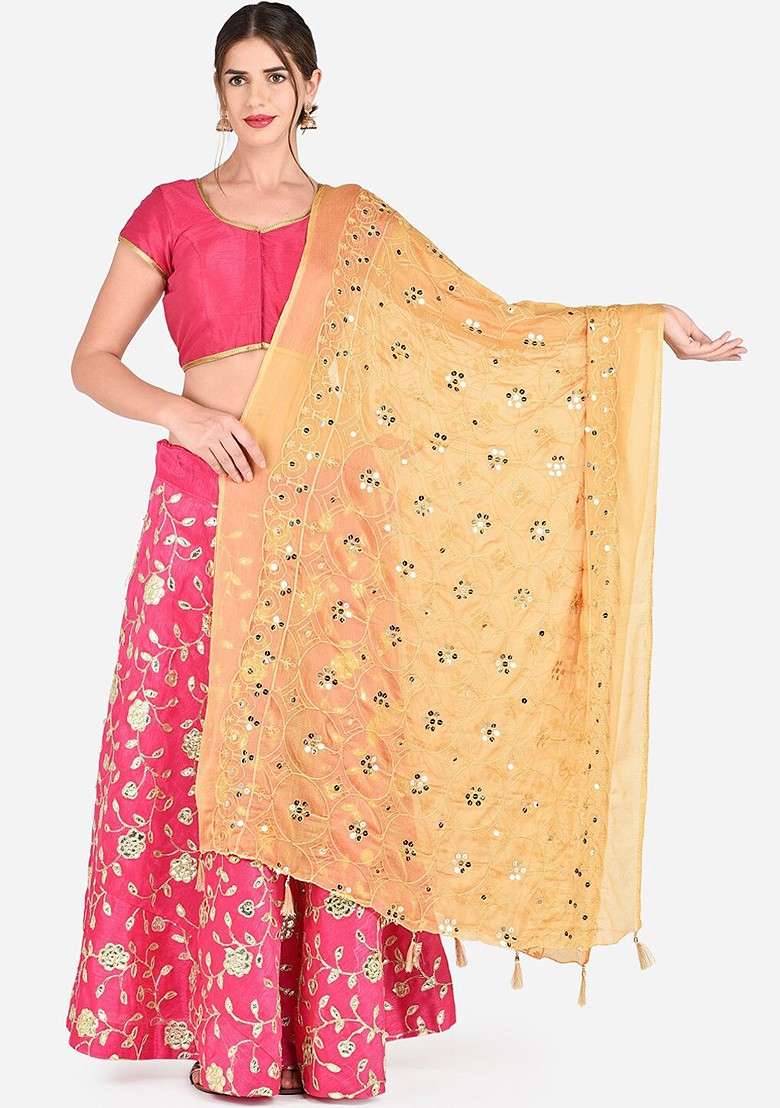 Beige Embroidered Chiffon Dupatta - Indya