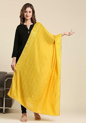 Striped Dupatta With Sequinned