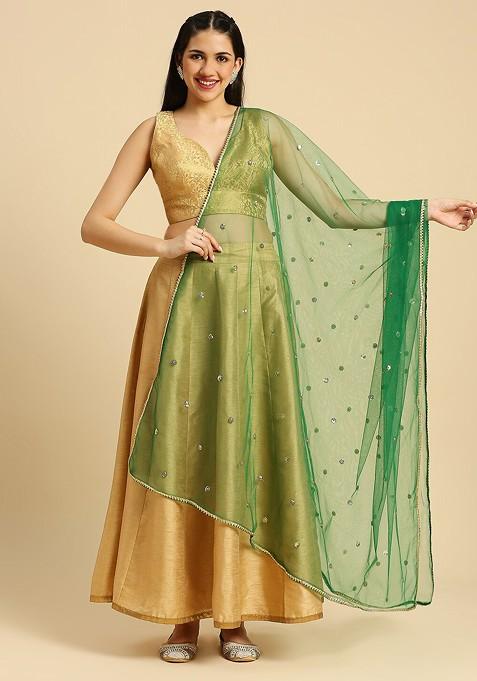 Embellished Sequinned Net Dupatta