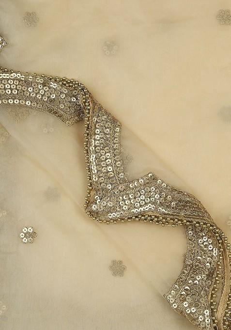 Ethnic Motifs Embroidered Sequinned Organza Dupatta