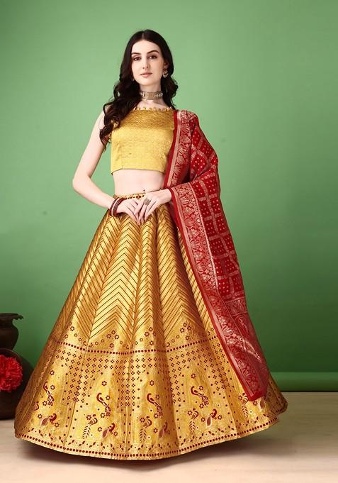 Gold Emboridered Blended Lehenga Choli