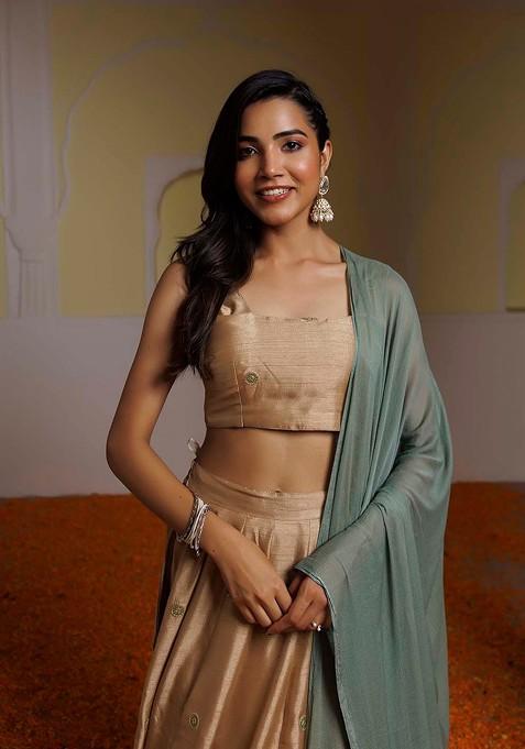 Brown Emboridered Blended Lehenga Choli