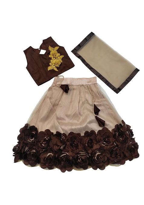 Beige Embroidered Net Lehenga Choli For Girls