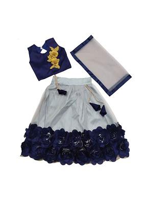 Grey Embroidered Net Lehenga Choli For Girls