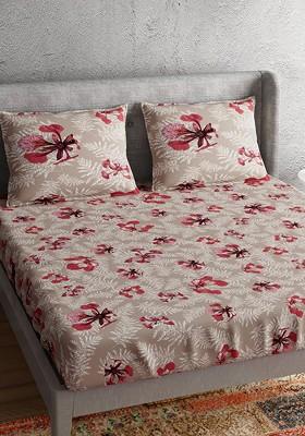 Beige And White Floral 300 Tc Cotton 1 King Bedsheet With 2 Pillow Covers