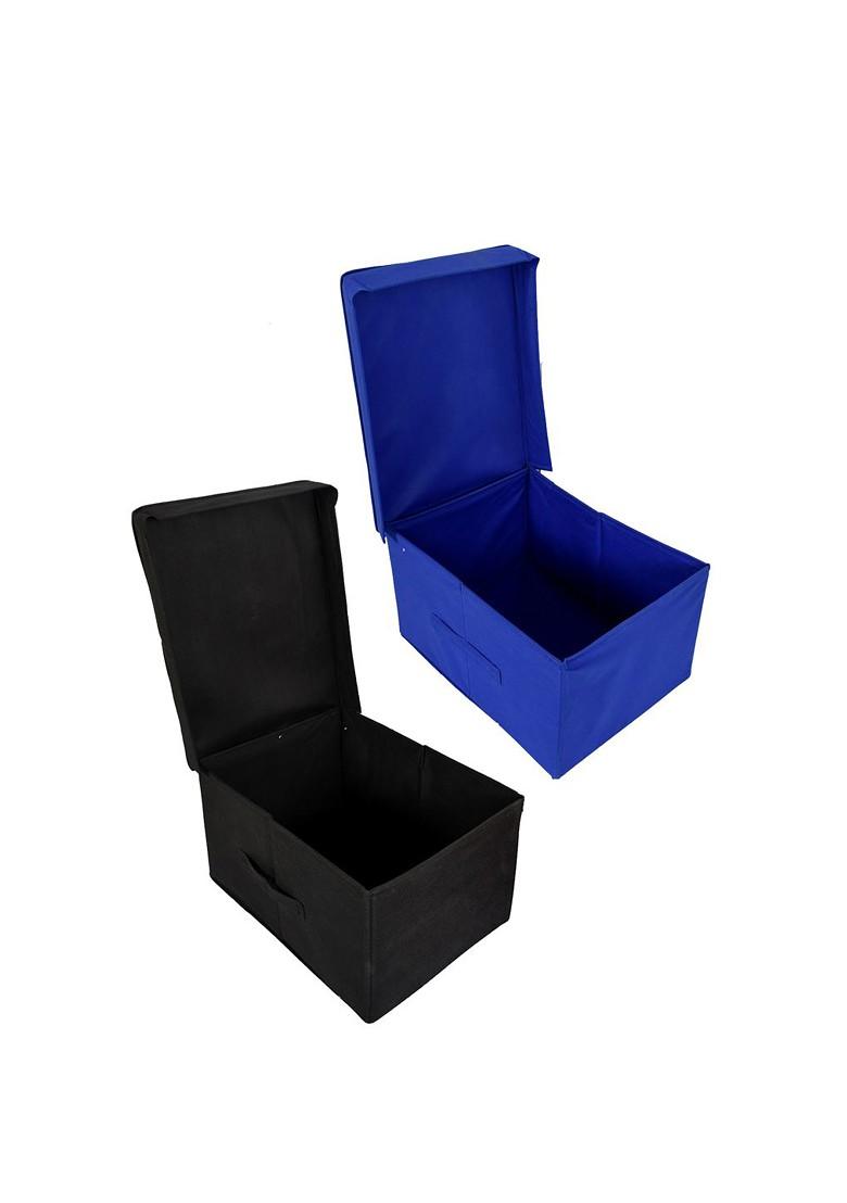 Set Of 2 Disney Printed Foldable Saree Cover Storage Boxes With Lids