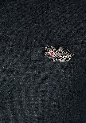 Men Gold Toned Red Stone Studded Metal Brooch