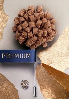 Unisex Brown Silver Toned A Glorious Crescendo Lapel Pin