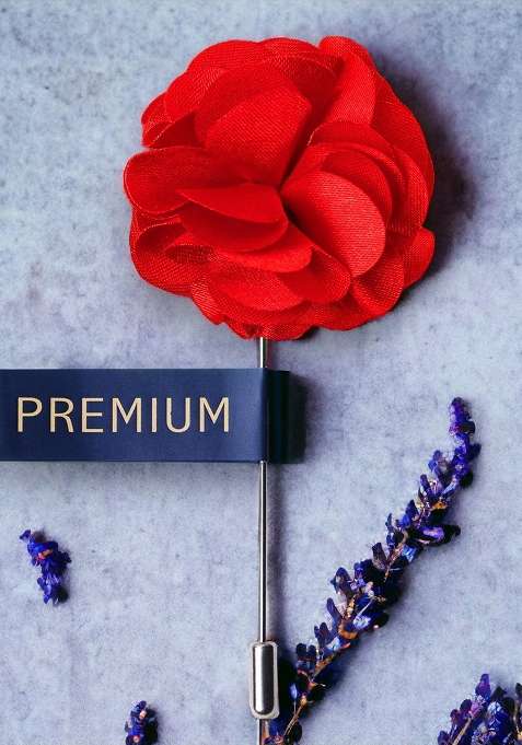 Unisex Red Ornamental Treat Brooch Lapel Pin
