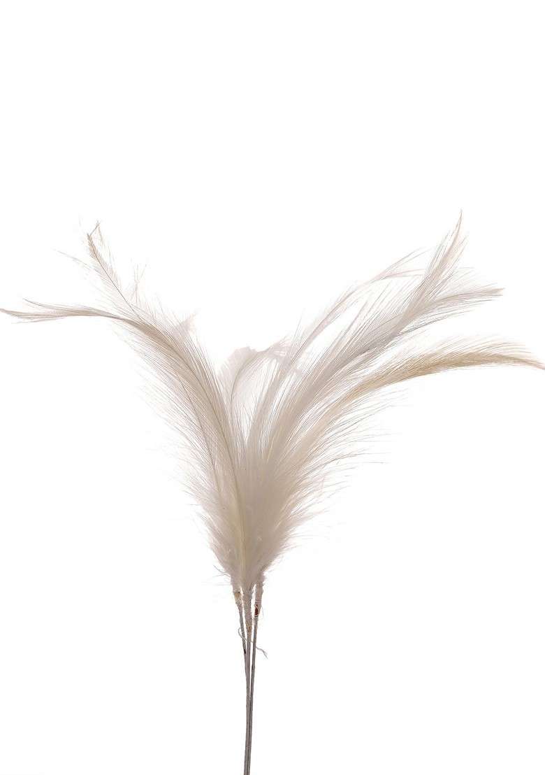 Men Off White Feather For Kalangi Brooch For Safa Turban Groom Wedding - Indya