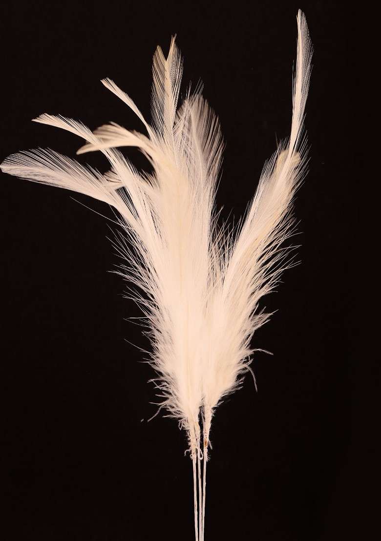 Men Off White Feather For Kalangi Brooch For Safa Turban Groom Wedding - Indya