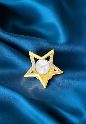 Unisex Gold Plated Victorian Star Lapel Pin Brooch
