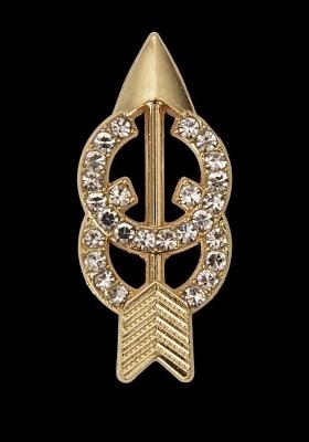 Men Gold Plated Zircon Studded Charming Retro Chic Owl Brooch