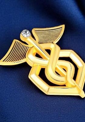 Gold Toned Plated Alloy Lapel Pin Brooch