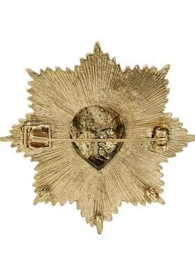 Men Gold Toned Lions Design Brooch - Indya