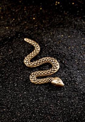 Men Metallic Toned Brass Brooch