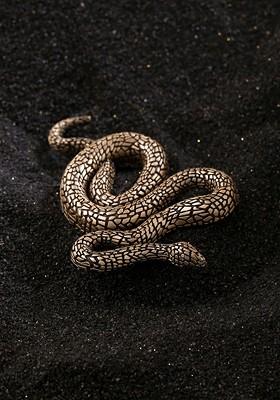 Men Antique Gold Textured Metallic Brooch