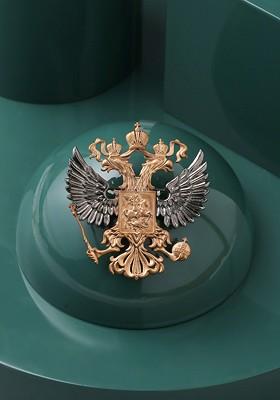 Men Metallic Gold Toned Antique State Emblem Brooch