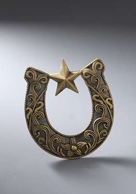 Men Gold Toned Brown The Horse Shoe Brooch - Indya