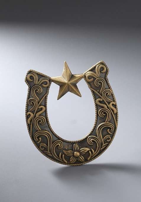 Men Gold Toned Brown The Horse Shoe Brooch