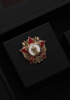 Men Antique Gold Toned Red The Hannibal Shaped Statement Brooch