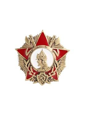 Men Antique Gold Toned Red The Hannibal Shaped Statement Brooch