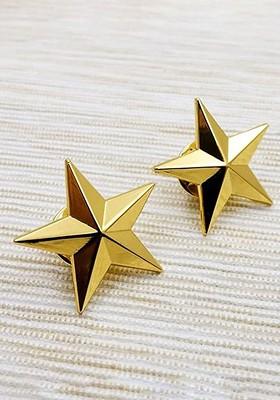 Unisex Pack Of 2 Shining Star Broochs