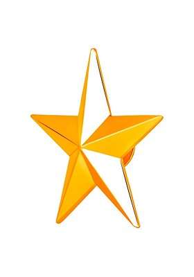 Unisex Star Shaped Brooch - Indya
