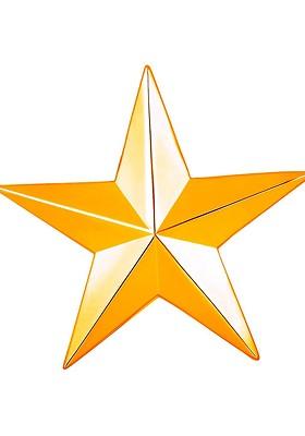 Unisex Shining Star Lapel Pin Badge Brooch