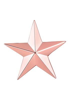 Unisex Star Charm Lapel Pin Brooch