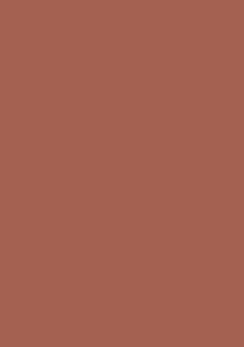 Saffron Rugs Hand Tufted Terracotta Brown Floral Oriental Rectangular Wool Area Rug - Indya