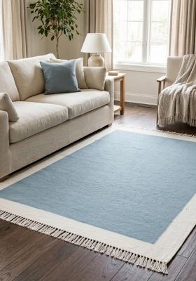 Saffron Rugs Flat Woven Light Blue Solid Coastal Rectangular Wool Area Rug