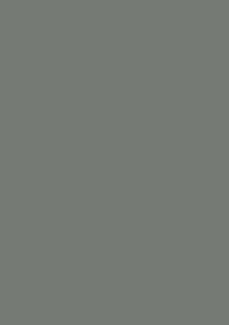 Saffron Rugs Hand Tufted Sage Green Geometric  Rectangular Wool Area Rug - Indya