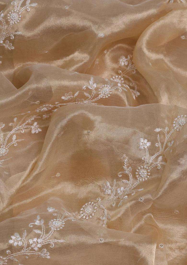 Tissue Silk Saree Sandal With Allover Embroidery Work And Beaded Work Embroidery Border With Embroidered Design For Women - Indya