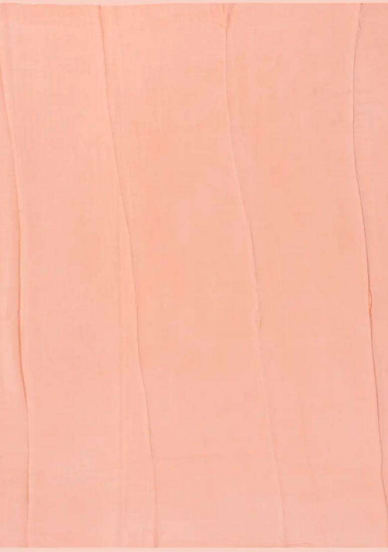 Light Peach Handwoven Banarasi Georgette Silk Saree Printed With Bird Motifs For Women - Indya