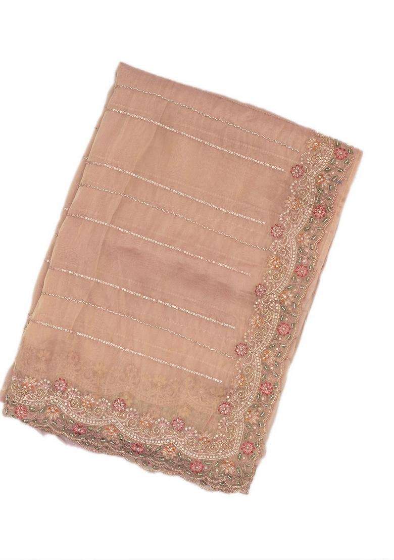 Light Peach Woven Viscose Art Silk Saree With Embroidered Motifs For Women - Indya