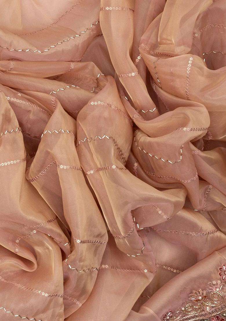Light Peach Woven Viscose Art Silk Saree With Embroidered Motifs For Women - Indya