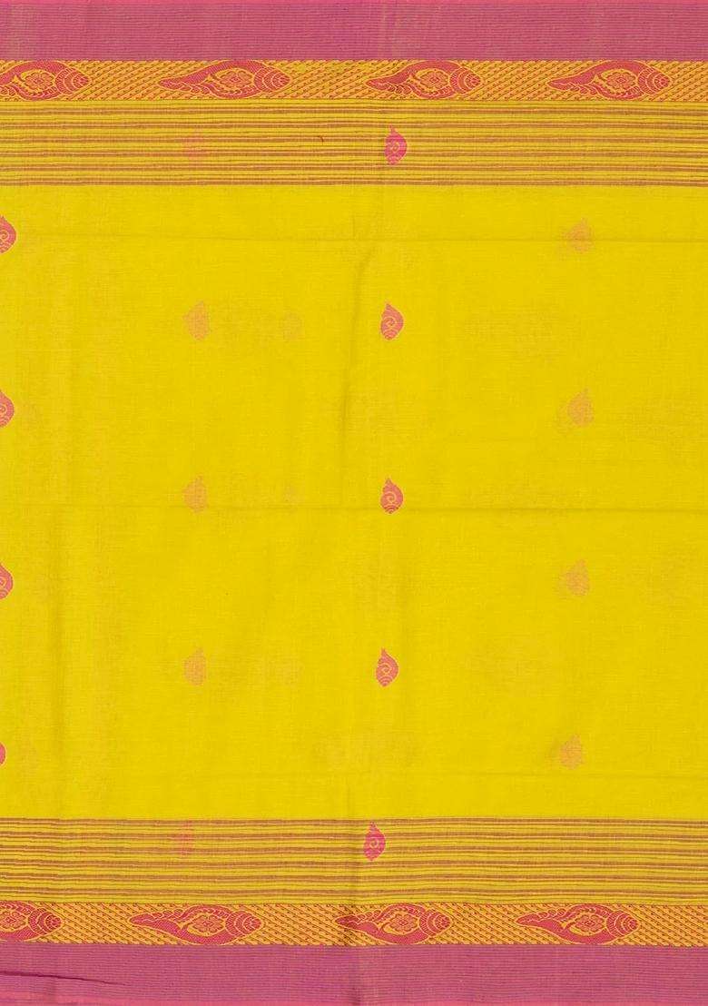 Lime Yellow Lemon Yellow Handloom Bengal Cotton Saree With Conch Buttas With Buttas And Brocade Design For Women - Indya