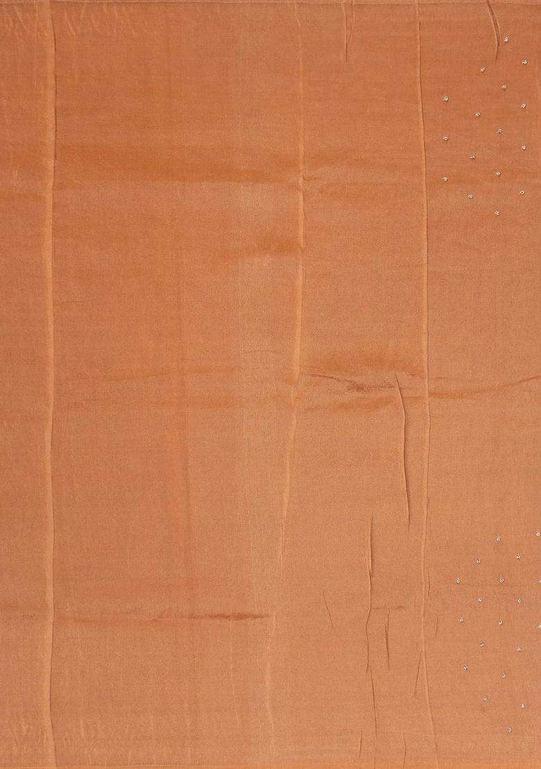 Peach Woven Tissue Saree With Brocaded Embroidery Floral Motifs With Embroidered Design For Women - Indya