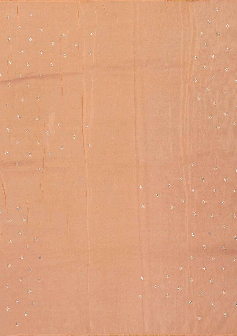Peach Woven Organza Tissue Saree With Brocaded Stripes Embroidery With Embroidered Design For Women - Indya