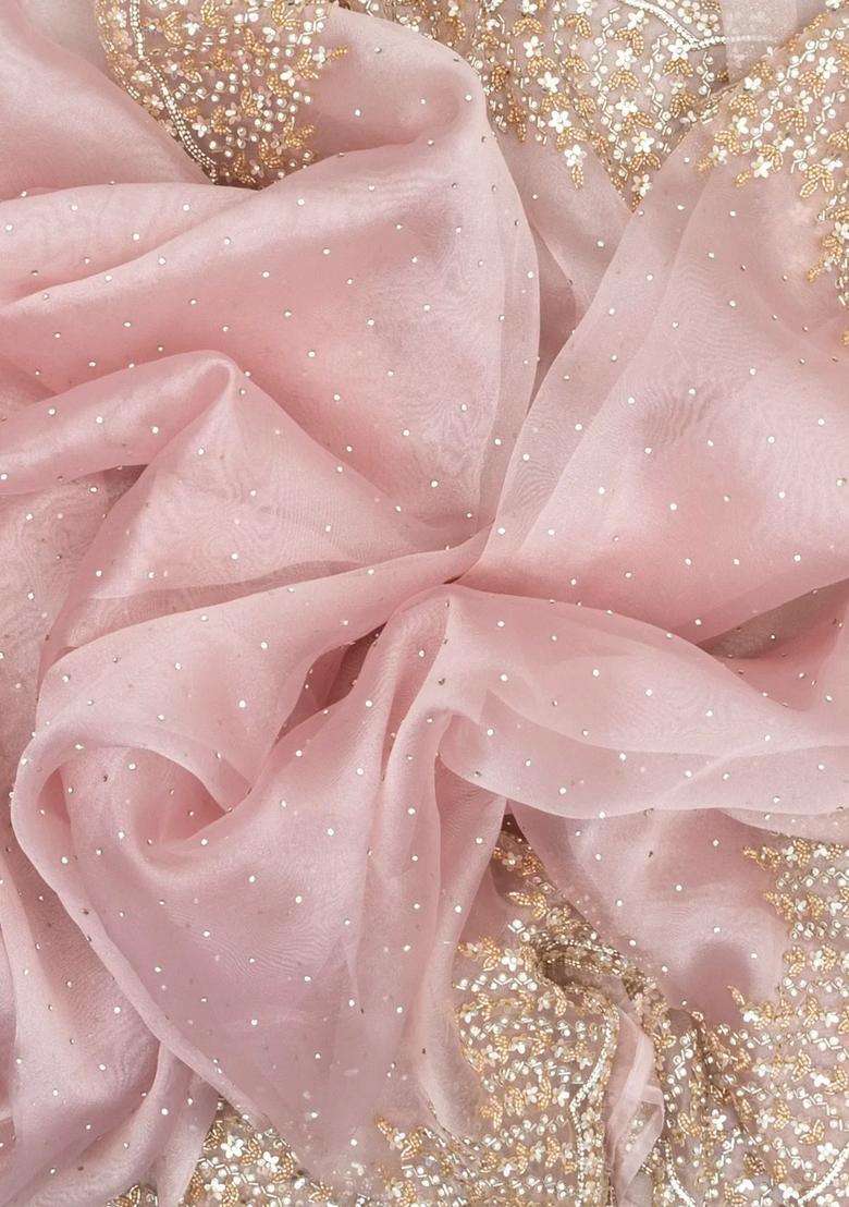 Baby Pink Woven Organza Saree With Embroidered Mirror Work For Women - Indya