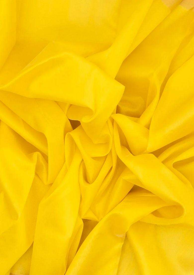 Lime Yellow Lemon Yellow Handloom Banarasi Plain Organza Saree With Traditional Woven Design For Women - Indya