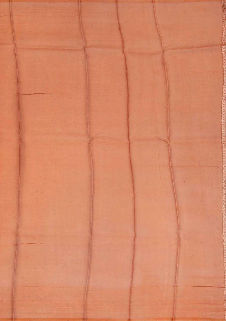 Peach Handloom Banarasi Organza Silk Saree With Floral Stripes With Buttas And Brocade Design For Women - Indya