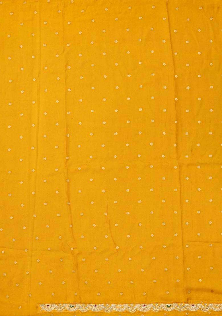 Mustard Handloom Silk Saree With Meena Motifs Hand Embroidered Selvage For Women - Indya