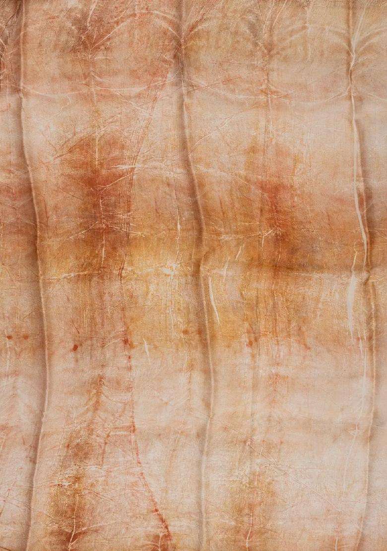Peach Handloom Tussar Silk Saree With Eco Printed Motifs For Women - Indya