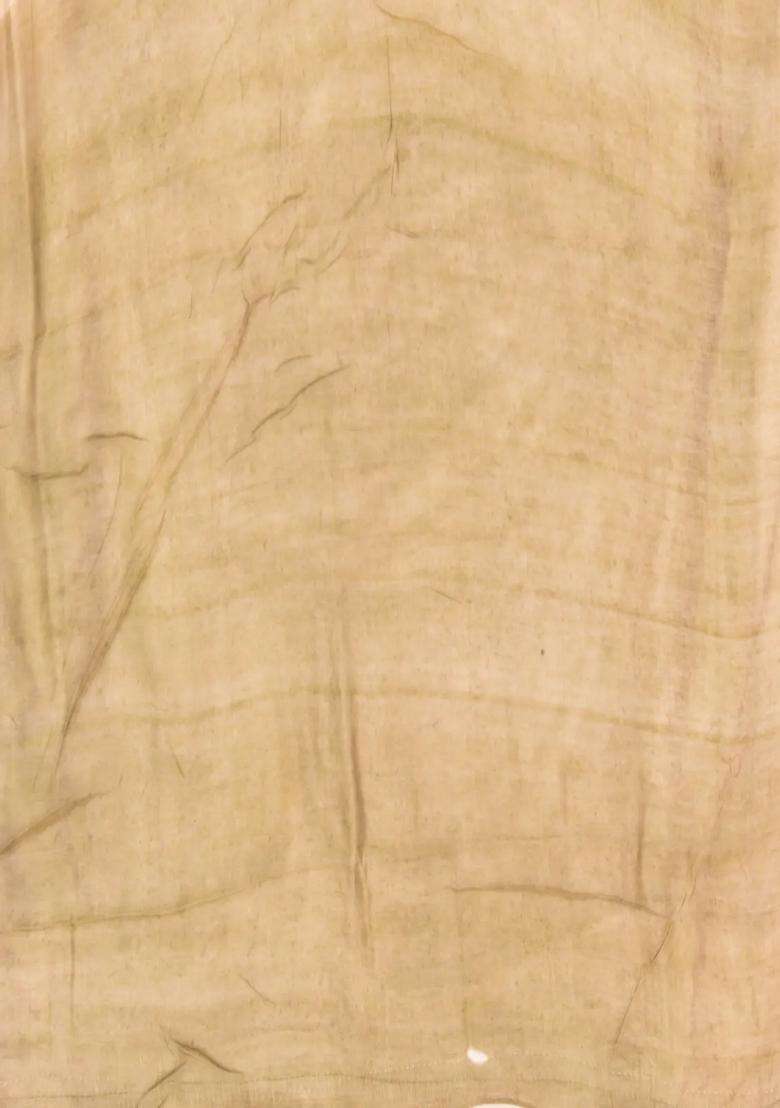 Yellow Handloom Tussar Silk Saree With Printed Kalamkari Motifs For Women - Indya