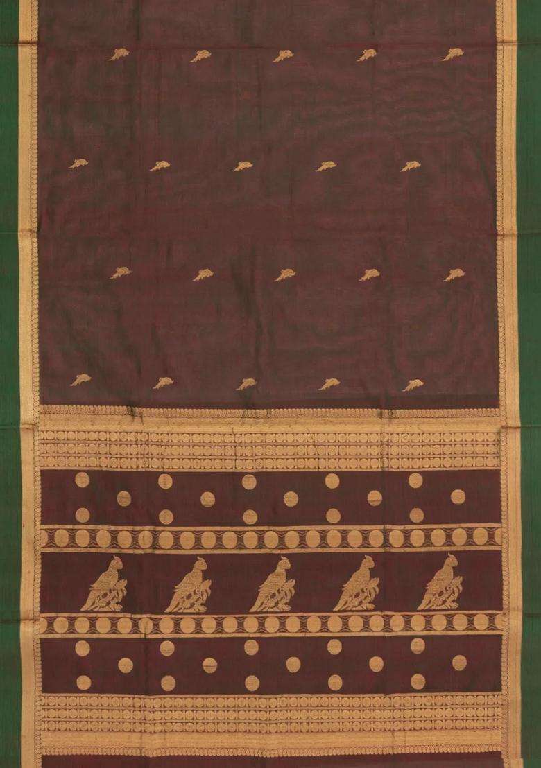 Dark Brown Handloom Silk Cotton Saree With Parrot Buttas With Buttas And Brocade Design For Women - Indya