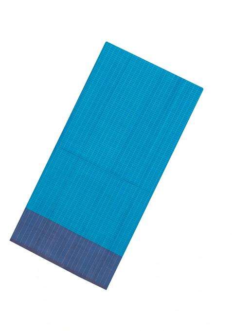 Sky Blue Handloom Soft Silk Saree With Checks Floral Border With Checks And Stripes Design For Women